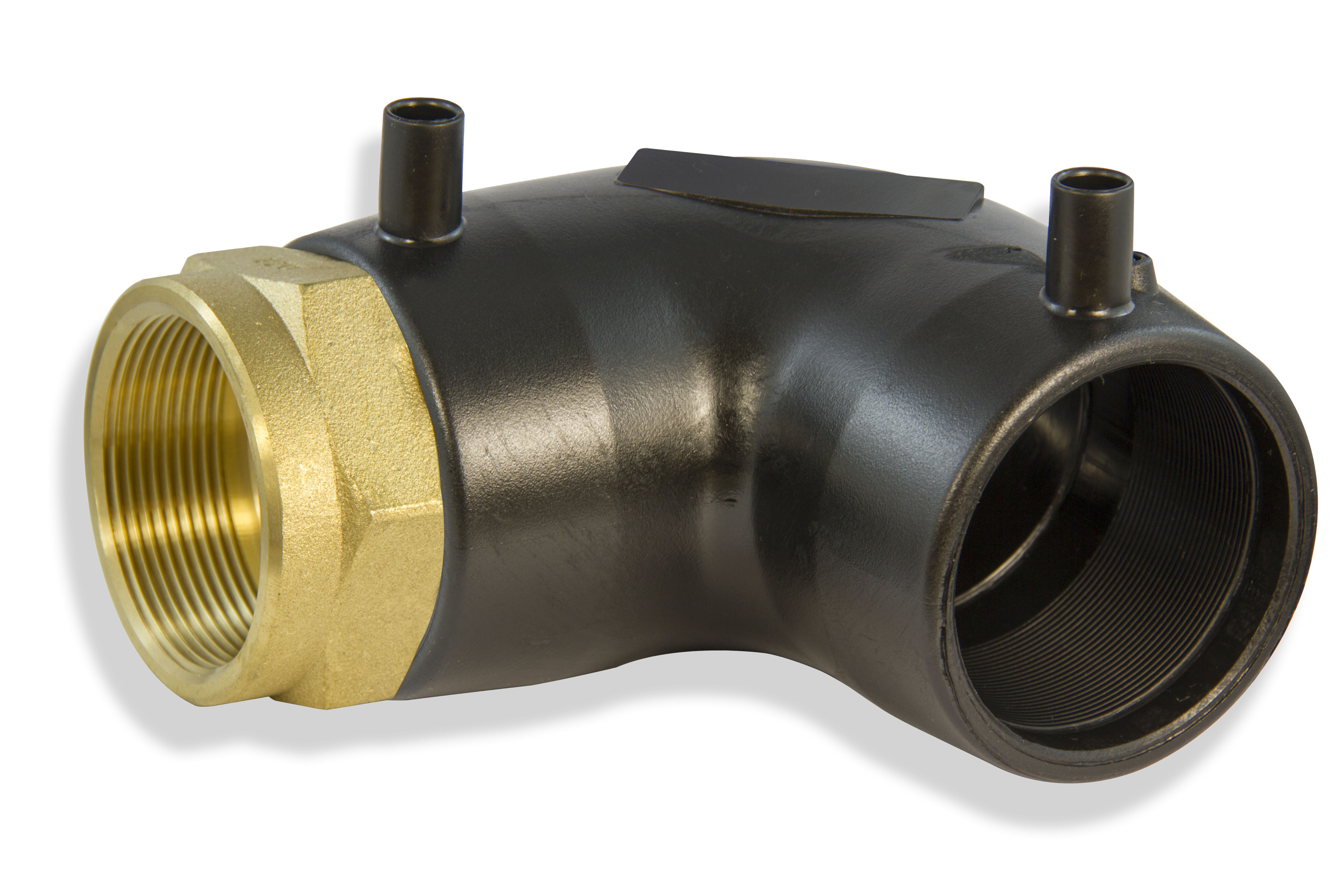 0036flatbrassfemaleds