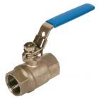 2 piece SS lockable ball valve