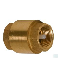 Spring check valve