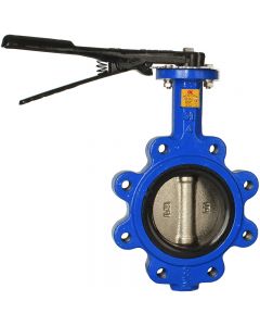Lugged butterfly valve