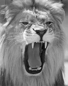 MaXair Blue Air Pipe Systems Fittings