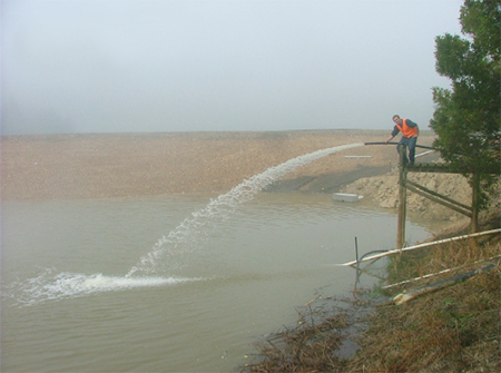 Frozen Food Industry
